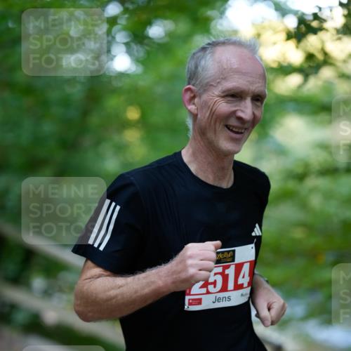 28.09.2025 - 33. Volkslauf durch das schöne Alstertal Patografie http://msf.ph/oto/8966198 28.09.2025 09:32:23 Laufen 2514 meine-sportfotos.de