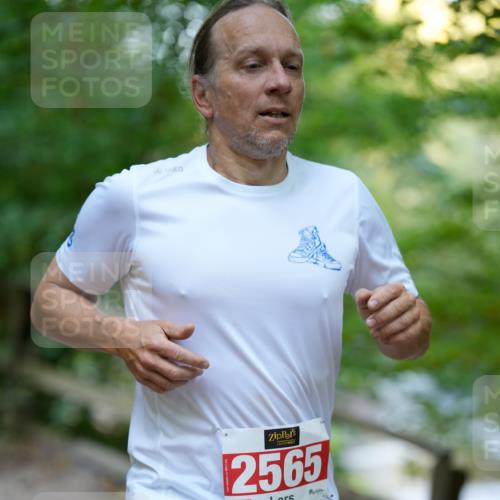 28.09.2025 - 33. Volkslauf durch das schöne Alstertal Patografie http://msf.ph/oto/8966199 28.09.2025 09:32:25 Laufen 2565 meine-sportfotos.de