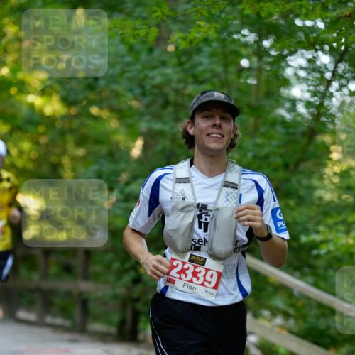28.09.2025 - 33. Volkslauf durch das schöne Alstertal Patografie http://msf.ph/oto/8966205 28.09.2025 09:32:51 Laufen 2339, 1000 meine-sportfotos.de