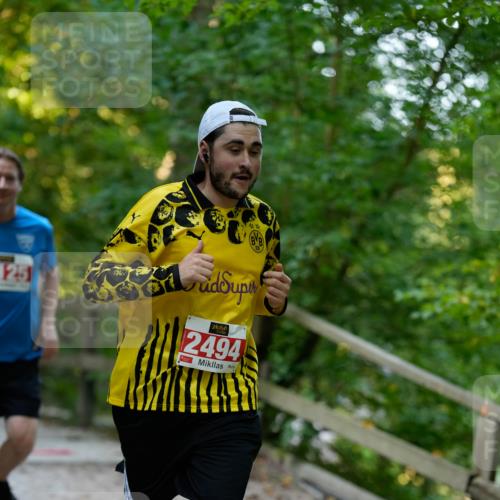 28.09.2025 - 33. Volkslauf durch das schöne Alstertal Patografie http://msf.ph/oto/8966206 28.09.2025 09:32:53 Laufen 125, 2494 meine-sportfotos.de