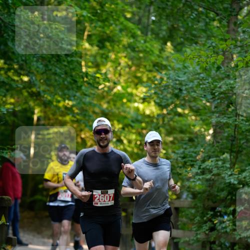 28.09.2025 - 33. Volkslauf durch das schöne Alstertal Patografie http://msf.ph/oto/8966212 28.09.2025 09:33:04 Laufen 2607 meine-sportfotos.de
