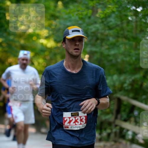 28.09.2025 - 33. Volkslauf durch das schöne Alstertal Patografie http://msf.ph/oto/8966214 28.09.2025 09:33:08 Laufen 2233 meine-sportfotos.de