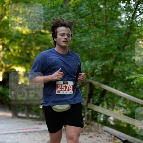28.09.2025 - 33. Volkslauf durch das schöne Alstertal Patografie http://msf.ph/oto/8966219 28.09.2025 09:33:13 Laufen 2579 meine-sportfotos.de