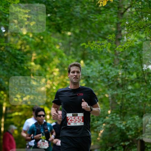 28.09.2025 - 33. Volkslauf durch das schöne Alstertal Patografie http://msf.ph/oto/8966222 28.09.2025 09:33:26 Laufen 2555 meine-sportfotos.de