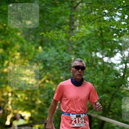 28.09.2025 - 33. Volkslauf durch das schöne Alstertal Patografie http://msf.ph/oto/8966227 28.09.2025 09:33:32 Laufen 2159 meine-sportfotos.de