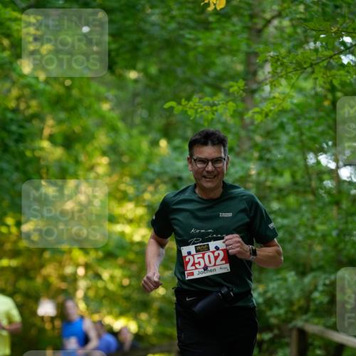 28.09.2025 - 33. Volkslauf durch das schöne Alstertal Patografie http://msf.ph/oto/8966228 28.09.2025 09:33:34 Laufen 35, 2502 meine-sportfotos.de