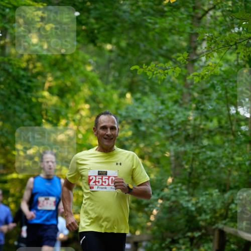 28.09.2025 - 33. Volkslauf durch das schöne Alstertal Patografie http://msf.ph/oto/8966231 28.09.2025 09:33:36 Laufen 2550 meine-sportfotos.de