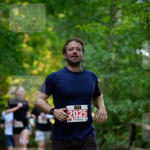 28.09.2025 - 33. Volkslauf durch das schöne Alstertal Patografie http://msf.ph/oto/8966234 28.09.2025 09:33:41 Laufen 2025 meine-sportfotos.de