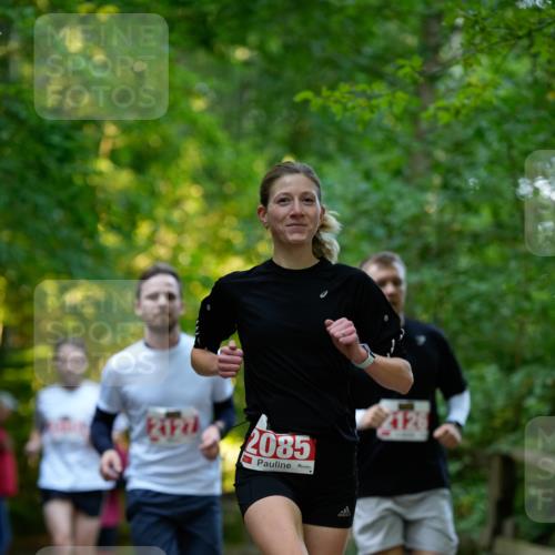 28.09.2025 - 33. Volkslauf durch das schöne Alstertal Patografie http://msf.ph/oto/8966235 28.09.2025 09:33:43 Laufen 2127, 2085, 2126 meine-sportfotos.de