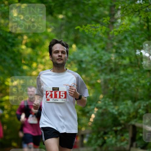 28.09.2025 - 33. Volkslauf durch das schöne Alstertal Patografie http://msf.ph/oto/8966238 28.09.2025 09:33:45 Laufen 2115 meine-sportfotos.de