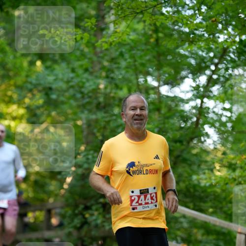 28.09.2025 - 33. Volkslauf durch das schöne Alstertal Patografie http://msf.ph/oto/8966246 28.09.2025 09:33:52 Laufen 2443 meine-sportfotos.de