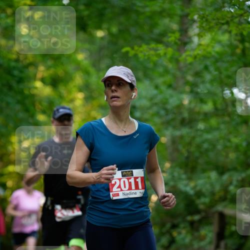 28.09.2025 - 33. Volkslauf durch das schöne Alstertal Patografie http://msf.ph/oto/8966250 28.09.2025 09:33:57 Laufen 2011 meine-sportfotos.de
