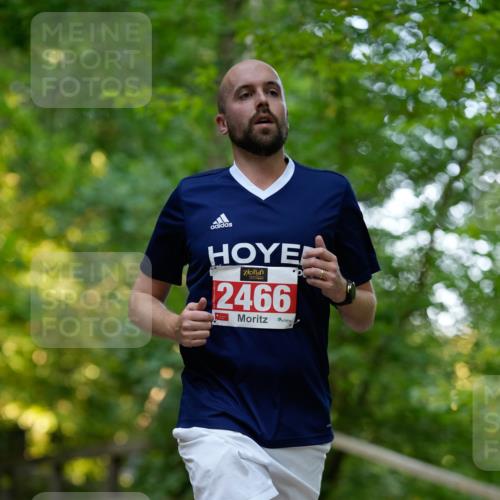 28.09.2025 - 33. Volkslauf durch das schöne Alstertal Patografie http://msf.ph/oto/8966256 28.09.2025 09:34:03 Laufen 2466 meine-sportfotos.de