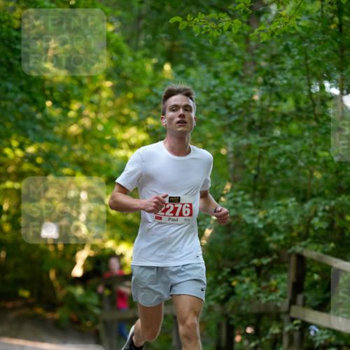 28.09.2025 - 33. Volkslauf durch das schöne Alstertal Patografie http://msf.ph/oto/8966257 28.09.2025 09:34:05 Laufen 2276 meine-sportfotos.de