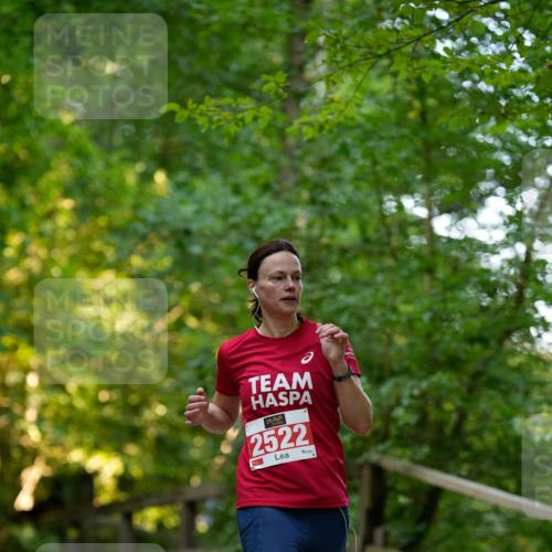 28.09.2025 - 33. Volkslauf durch das schöne Alstertal Patografie http://msf.ph/oto/8966258 28.09.2025 09:34:09 Laufen 2522 meine-sportfotos.de
