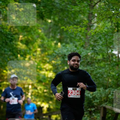 28.09.2025 - 33. Volkslauf durch das schöne Alstertal Patografie http://msf.ph/oto/8966263 28.09.2025 09:34:15 Laufen 2304 meine-sportfotos.de