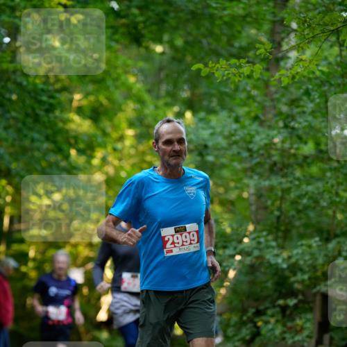 28.09.2025 - 33. Volkslauf durch das schöne Alstertal Patografie http://msf.ph/oto/8966266 28.09.2025 09:34:19 Laufen 2999 meine-sportfotos.de