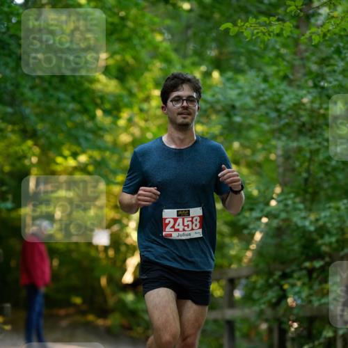 28.09.2025 - 33. Volkslauf durch das schöne Alstertal Patografie http://msf.ph/oto/8966271 28.09.2025 09:34:24 Laufen 2458 meine-sportfotos.de