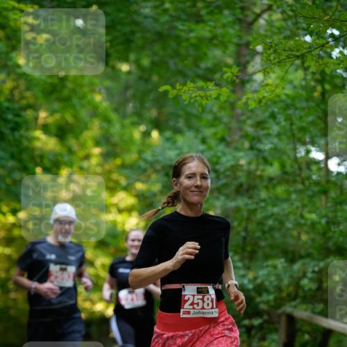 28.09.2025 - 33. Volkslauf durch das schöne Alstertal Patografie http://msf.ph/oto/8966272 28.09.2025 09:34:29 Laufen 2581 meine-sportfotos.de