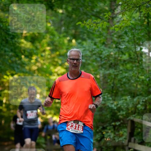 28.09.2025 - 33. Volkslauf durch das schöne Alstertal Patografie http://msf.ph/oto/8966278 28.09.2025 09:34:34 Laufen 2318 meine-sportfotos.de