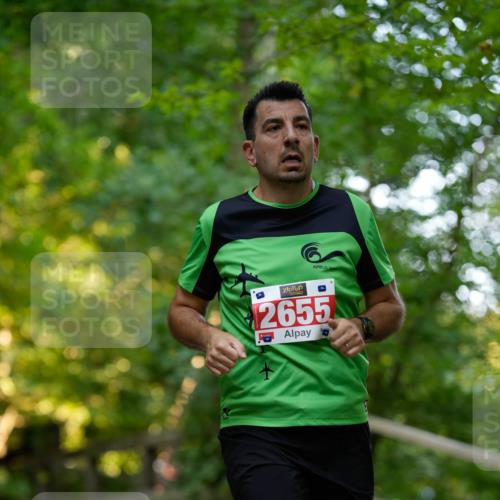28.09.2025 - 33. Volkslauf durch das schöne Alstertal Patografie http://msf.ph/oto/8966280 28.09.2025 09:34:45 Laufen 2655 meine-sportfotos.de