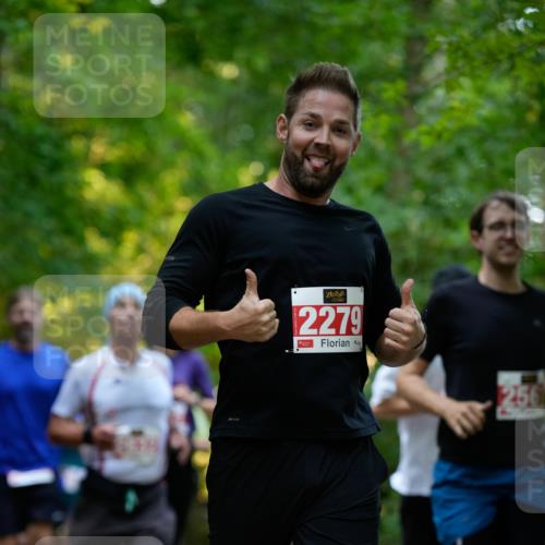 28.09.2025 - 33. Volkslauf durch das schöne Alstertal Patografie http://msf.ph/oto/8966290 28.09.2025 09:35:01 Laufen 381, 2279, 256 meine-sportfotos.de