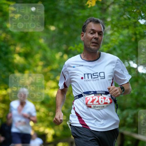 28.09.2025 - 33. Volkslauf durch das schöne Alstertal Patografie http://msf.ph/oto/8966294 28.09.2025 09:35:07 Laufen 2264 meine-sportfotos.de