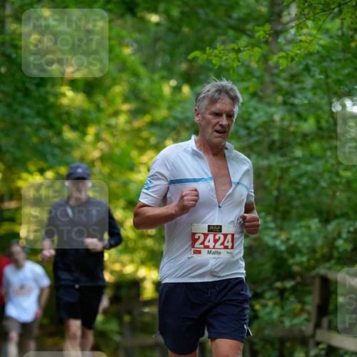 28.09.2025 - 33. Volkslauf durch das schöne Alstertal Patografie http://msf.ph/oto/8966295 28.09.2025 09:35:09 Laufen 2424 meine-sportfotos.de