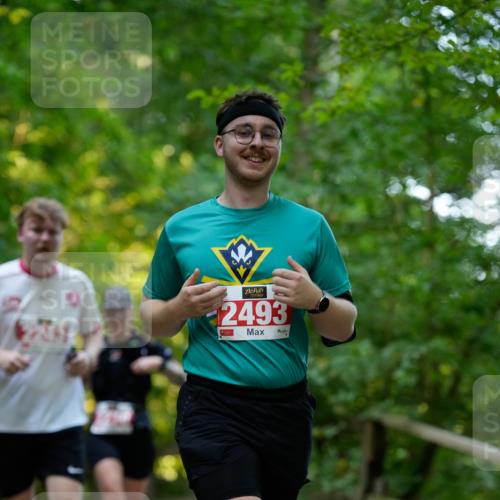 28.09.2025 - 33. Volkslauf durch das schöne Alstertal Patografie http://msf.ph/oto/8966301 28.09.2025 09:35:17 Laufen 274311, 2493 meine-sportfotos.de