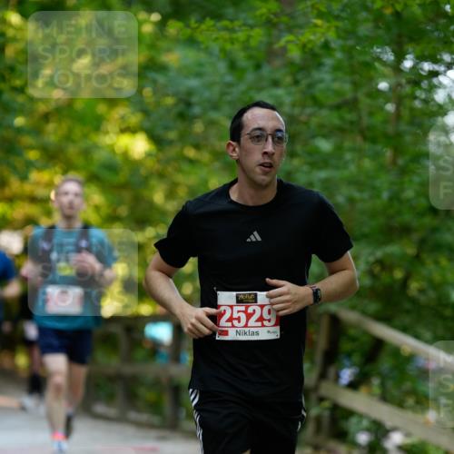 28.09.2025 - 33. Volkslauf durch das schöne Alstertal Patografie http://msf.ph/oto/8966306 28.09.2025 09:35:31 Laufen 2529 meine-sportfotos.de