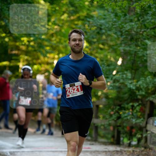 28.09.2025 - 33. Volkslauf durch das schöne Alstertal Patografie http://msf.ph/oto/8966308 28.09.2025 09:35:34 Laufen 2621 meine-sportfotos.de