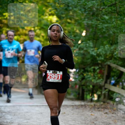 28.09.2025 - 33. Volkslauf durch das schöne Alstertal Patografie http://msf.ph/oto/8966310 28.09.2025 09:35:36 Laufen 2991 meine-sportfotos.de