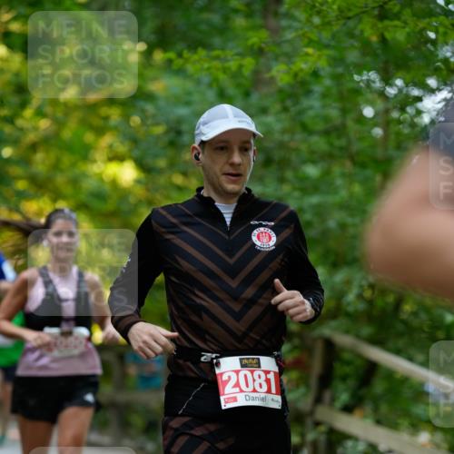 28.09.2025 - 33. Volkslauf durch das schöne Alstertal Patografie http://msf.ph/oto/8966313 28.09.2025 09:35:39 Laufen 2081 meine-sportfotos.de