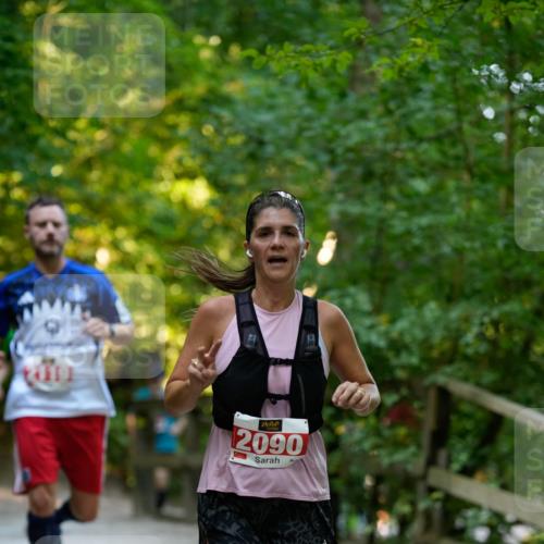 28.09.2025 - 33. Volkslauf durch das schöne Alstertal Patografie http://msf.ph/oto/8966314 28.09.2025 09:35:40 Laufen 119, 2090 meine-sportfotos.de