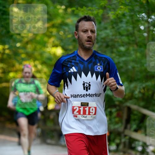 28.09.2025 - 33. Volkslauf durch das schöne Alstertal Patografie http://msf.ph/oto/8966315 28.09.2025 09:35:42 Laufen 2119 meine-sportfotos.de