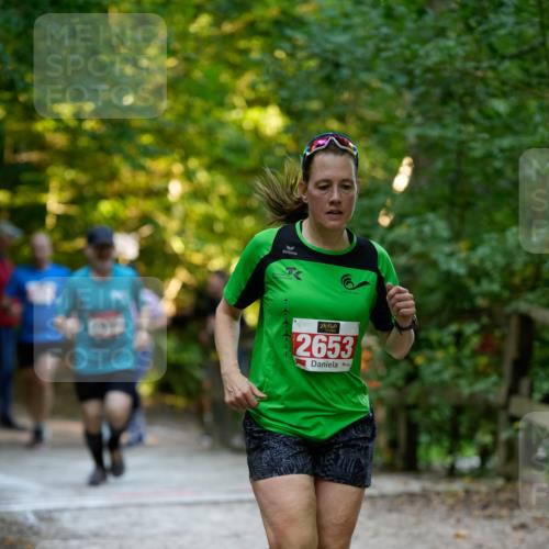 28.09.2025 - 33. Volkslauf durch das schöne Alstertal Patografie http://msf.ph/oto/8966317 28.09.2025 09:35:43 Laufen 2653 meine-sportfotos.de
