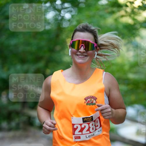 28.09.2025 - 33. Volkslauf durch das schöne Alstertal Patografie http://msf.ph/oto/8966319 28.09.2025 09:35:50 Laufen 2289 meine-sportfotos.de