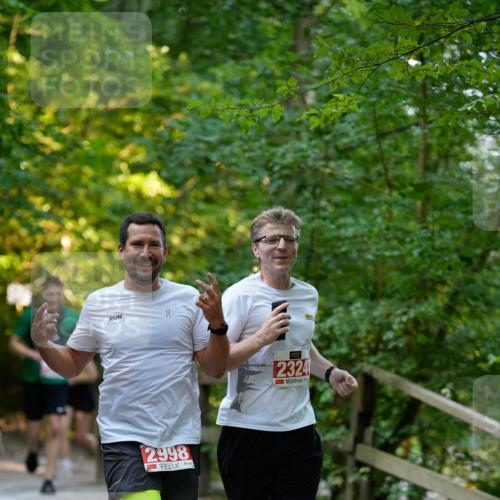 28.09.2025 - 33. Volkslauf durch das schöne Alstertal Patografie http://msf.ph/oto/8966320 28.09.2025 09:35:56 Laufen 2998, 2324 meine-sportfotos.de