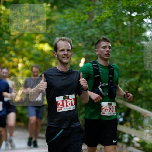 28.09.2025 - 33. Volkslauf durch das schöne Alstertal Patografie http://msf.ph/oto/8966324 28.09.2025 09:35:59 Laufen 2181, 2530 meine-sportfotos.de