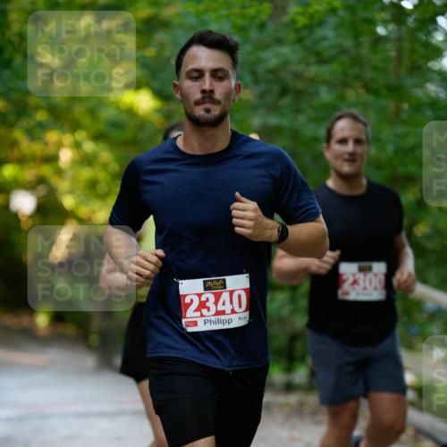 28.09.2025 - 33. Volkslauf durch das schöne Alstertal Patografie http://msf.ph/oto/8966326 28.09.2025 09:36:01 Laufen 2340, 2300 meine-sportfotos.de