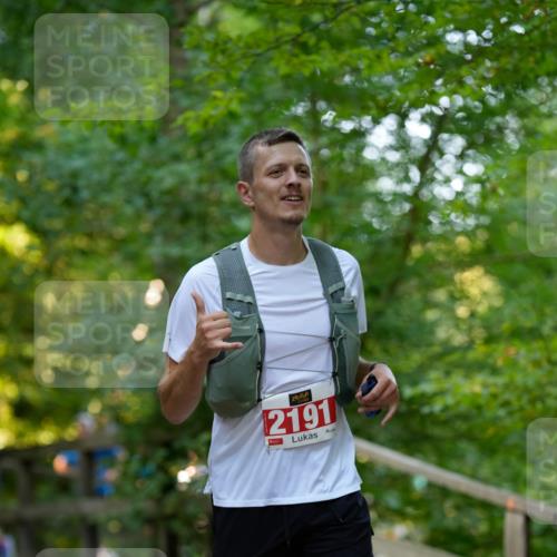 28.09.2025 - 33. Volkslauf durch das schöne Alstertal Patografie http://msf.ph/oto/8966329 28.09.2025 09:36:09 Laufen 2191 meine-sportfotos.de