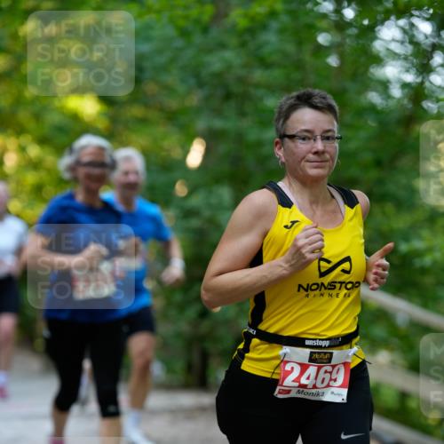 28.09.2025 - 33. Volkslauf durch das schöne Alstertal Patografie http://msf.ph/oto/8966333 28.09.2025 09:36:15 Laufen 2469 meine-sportfotos.de