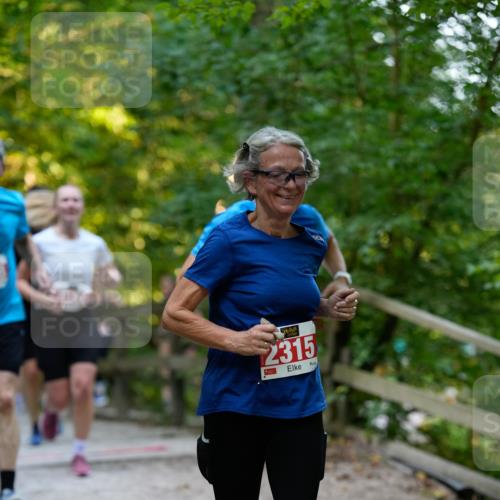 28.09.2025 - 33. Volkslauf durch das schöne Alstertal Patografie http://msf.ph/oto/8966334 28.09.2025 09:36:15 Laufen 2315 meine-sportfotos.de