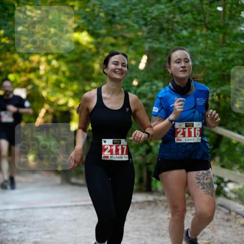28.09.2025 - 33. Volkslauf durch das schöne Alstertal Patografie http://msf.ph/oto/8966340 28.09.2025 09:36:21 Laufen 7, 2117, 2116 meine-sportfotos.de