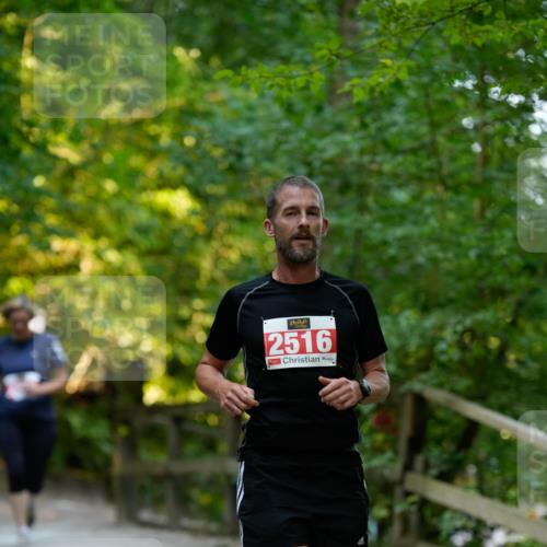 28.09.2025 - 33. Volkslauf durch das schöne Alstertal Patografie http://msf.ph/oto/8966346 28.09.2025 09:36:32 Laufen 1, 1990, 2516 meine-sportfotos.de
