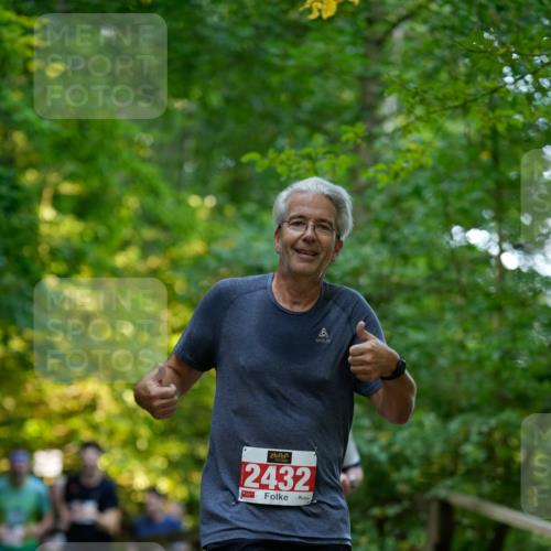 28.09.2025 - 33. Volkslauf durch das schöne Alstertal Patografie http://msf.ph/oto/8966349 28.09.2025 09:36:38 Laufen 2432 meine-sportfotos.de