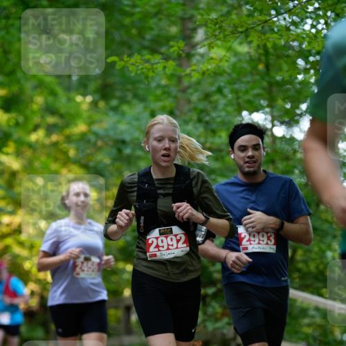 28.09.2025 - 33. Volkslauf durch das schöne Alstertal Patografie http://msf.ph/oto/8966351 28.09.2025 09:36:43 Laufen 2992, 2993 meine-sportfotos.de