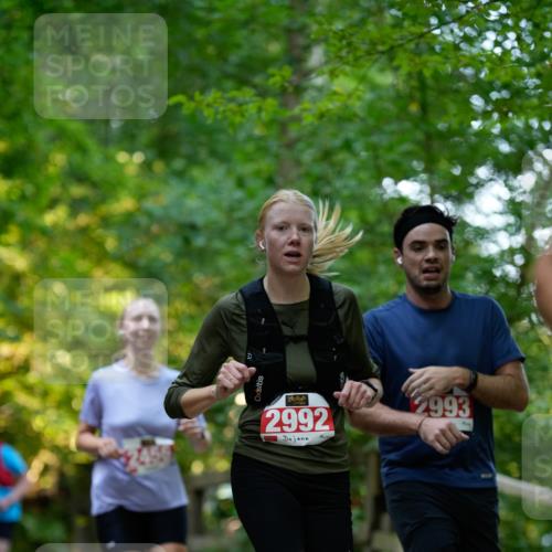28.09.2025 - 33. Volkslauf durch das schöne Alstertal Patografie http://msf.ph/oto/8966352 28.09.2025 09:36:43 Laufen 2992, 2993 meine-sportfotos.de