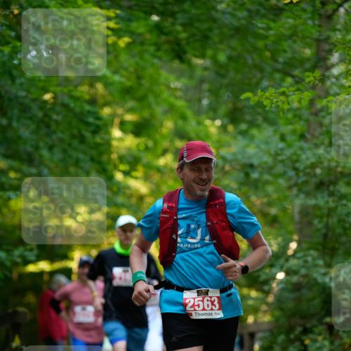 28.09.2025 - 33. Volkslauf durch das schöne Alstertal Patografie http://msf.ph/oto/8966355 28.09.2025 09:36:47 Laufen 2563 meine-sportfotos.de