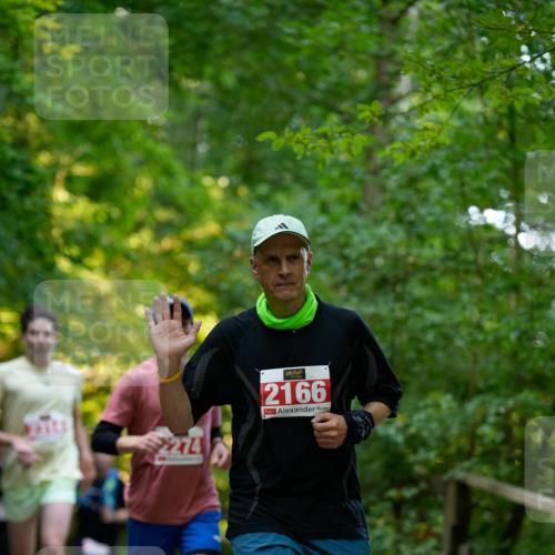 28.09.2025 - 33. Volkslauf durch das schöne Alstertal Patografie http://msf.ph/oto/8966356 28.09.2025 09:36:49 Laufen 274, 2166 meine-sportfotos.de